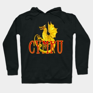 CYMRU DRAIG Hoodie